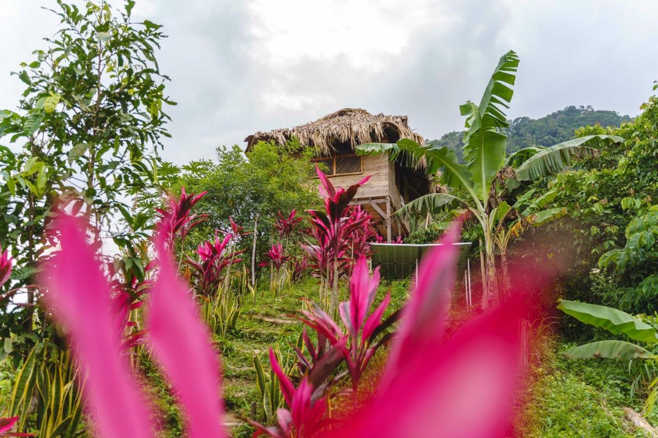 Taorayiná Villa Zaino Exterior foto